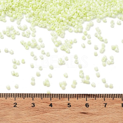 Baking Paint Glass Seed Beads X-SEED-S042-15B-24-1