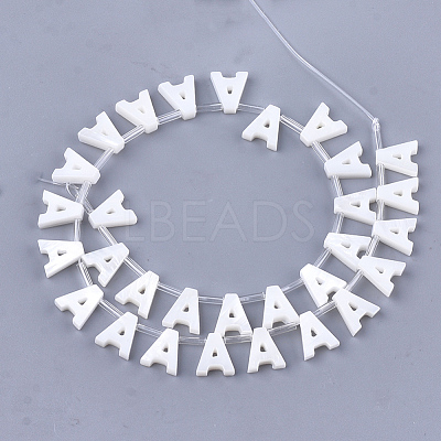 Natural Freshwater Shell Beads SHEL-T012-59A-1
