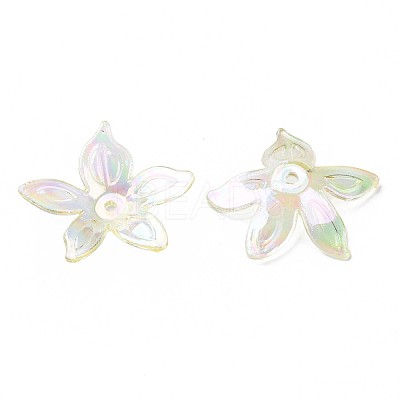 Transparent Acrylic Beads MACR-S373-102-C06-1