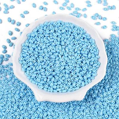 Baking Paint Glass Seed Beads SEED-T006-03I-1