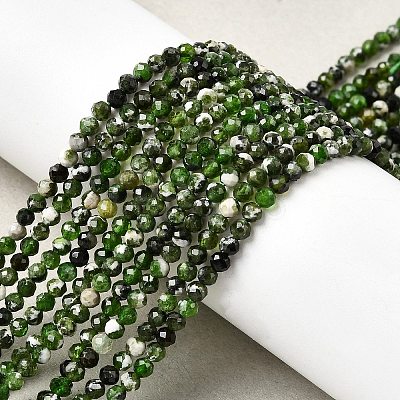 Natural Diopside Beads Strands G-G188-B14-03-1