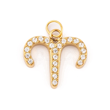 316 Stainless Steel Micro Pave Cubic Zirconia Pendants STAS-K284-01A-G-1