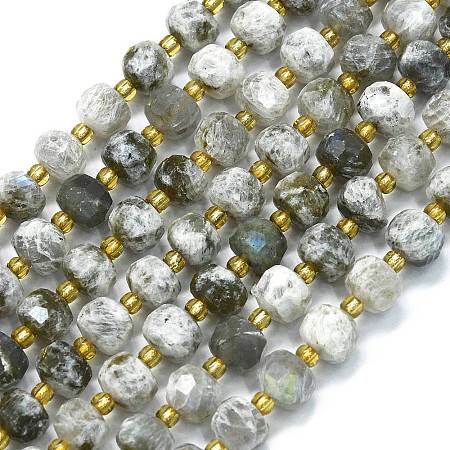 Natural Labradorite Beads Strands G-K389-E41-01-1