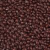 Baking Paint Glass Seed Beads SEED-T006-03V-2