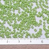 MIYUKI Round Rocailles Beads SEED-G007-RR0479-4