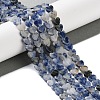 Natural Blue Spot Jasper Beads Strands G-M403-A21-02-2