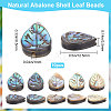 Beebeecraft Natural Abalone Shell/Paua Shell Beads SHEL-BBC0001-01-2