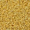 MIYUKI Delica Beads X-SEED-J020-DB2041-3