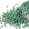 TOHO Round Seed Beads SEED-XTR08-PF0561-1