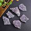 Electroplate Natural Drusy Amethyst Display Decorations PW-WG62588-01-2