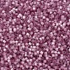 MIYUKI Delica Beads X-SEED-J020-DB1806-3