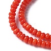 Natural Freshwater Shell Beads Strands SSHEL-C013-08A-3
