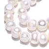 Natural Cultured Freshwater Pearl Beads Strands PEAR-N013-08G-01-5