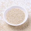 MIYUKI Delica Beads X-SEED-J020-DB1874-2