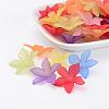 Mixed Color Dyed Transparent Frosted Acrylic Flower Beads X-PL594-3