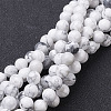 Natural Howlite Bead Strands G-G735-66-6mm-1