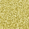 MIYUKI Delica Beads SEED-X0054-DB0623-3