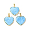Handmade Lampwork Pendants LAMP-M017-01A-08-1