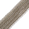 Transparent Glass Beads Strands LS-EGLA-A034-T3mm-MD16-1