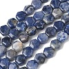 Natural Sodalite Beads Strands G-G463-A10-8x9mm-2