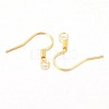 Iron Earring Hooks X-E133-G-1