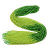 Transparent Gradient Color Glass Beads Strands GLAA-H021-01A-40-2