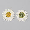 Pressed Dried Flowers DIY-WH0308-412D-1-1
