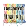 6-Ply Polyester Embroidery Floss OCOR-FZ0001-01B-1