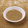 MIYUKI Round Rocailles Beads SEED-X0054-RR4203-2