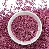 12/0 Glass Seed Beads E06900F2-2