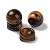 Natural Tiger Eye Display Decorations DJEW-G032-02B-2