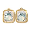 Light Gold Tone Alloy Enamel Pendants ENAM-B028-37KCG-01B-1