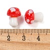 Handmade Lampwork Beads LAMP-F034-01I-3