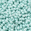Opaque Colours Luster Glass Seed Beads X1-SEED-B001-01A-08-3