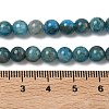 Natural Apatite Beads Strands G-F816-A01-01A-5