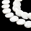 Natural Trochid Shell/Trochus Shell Beads Strands SSHEL-R145-03-4