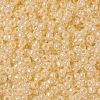 TOHO 8/0 Round Beads X-SEED-TR08-0901-2