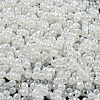 Glass Seed Beads SEED-K009-02B-24-3