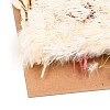 Dried Flower DIY-B018-14-2