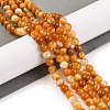 Natural Striped Agate/Banded Agate Beads Strands G-H037-A02-01-1