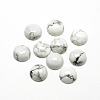 Natural Howlite Cabochons X-G-R416-16mm-29-1