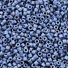 MIYUKI Delica Beads LS-X-SEED-J020-DB2317-2