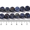 Natural Sodalite Beads Strands G-C159-B10-01-4