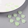 Transparent Frosted Acrylic Pendants MACR-S371-09A-728-6