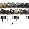 Natural Sodalite Beads Strands G-A097-D01-06-5