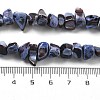 Dyed Natural Trochus Shell Beads Strands BSHE-Z006-01C-4