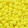 Baking Paint Glass Seed Beads SEED-H002-I-B501-3