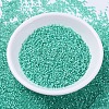 MIYUKI Delica Beads SEED-X0054-DB0627-2