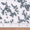 MIYUKI Delica Beads SEED-MY11-DB0387-4