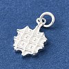 925 Sterling Silver Imitation Food Charms FIND-U013-11S-04-2